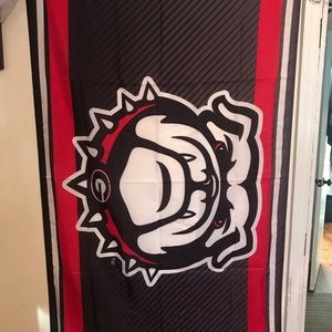 UGA flag